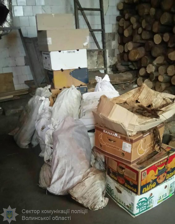 У Ковелі поліцейські спалили наркотики