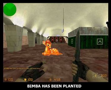 Інтернет «малює» фотожаби про Азарова і «бімбу»