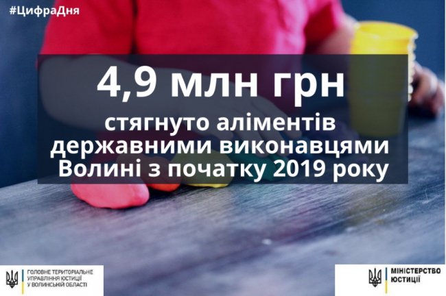 З початку року з боржників Волині «витрусили» майже 5 мільйонів гривень аліментів