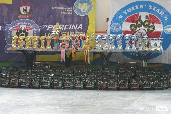 У Луцьку – виставка собак. ФОТО