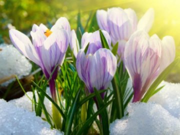 Погода в Луцьку та Волинській області на неділю, 15 березня