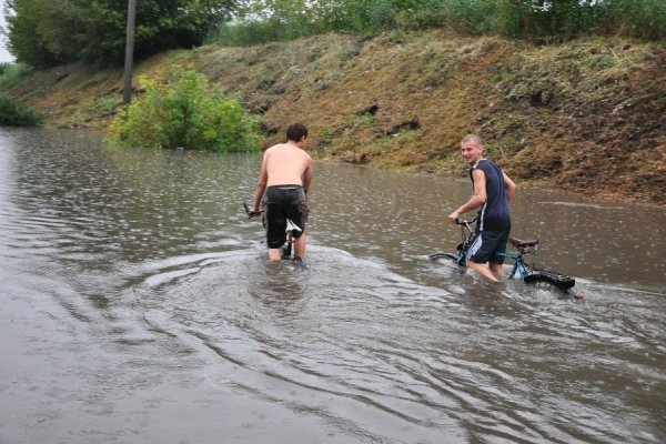 У Луцьку люди кидають свої автівки посеред дороги. ФОТО