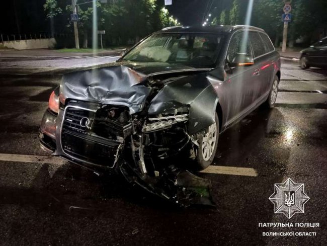 Від удару знепритомнів: у Луцьку патрульні допомогли песику, який постраждав в ДТП. ФОТО
