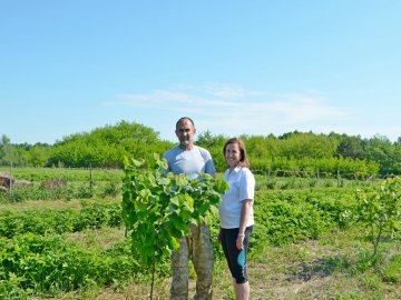 2 гектари малини, фундука, ожини та лохини: ветеран АТО з Волині перетворив хащі на сад