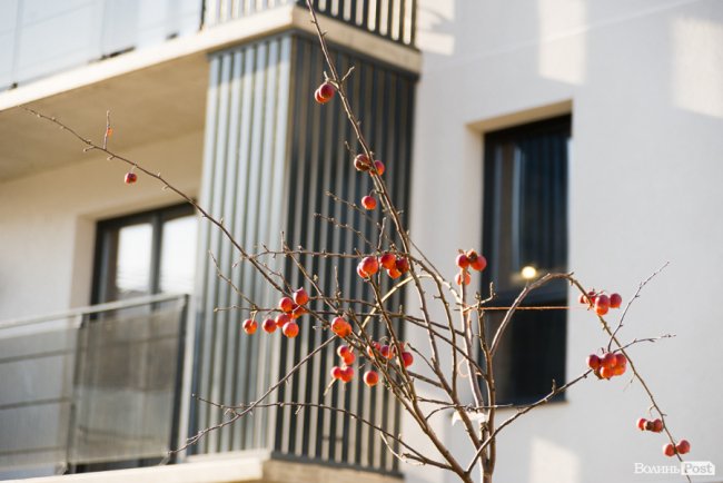 Стартувало будівництво другої черги ЖК «StyleUp»: особливості та ціни*