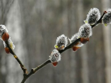 3 березня: у кого іменини та що не можна робити у цей день