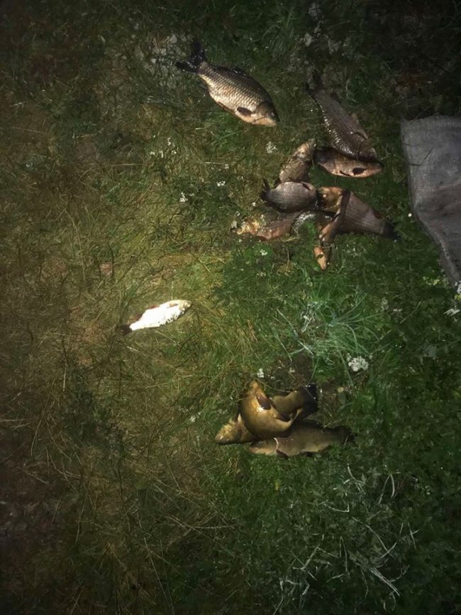 На території волинського заказника браконьєри ловили рибу сіткою з човна. ФОТО