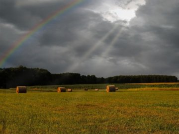 Погода у Луцьку на завтра, 4 липня 