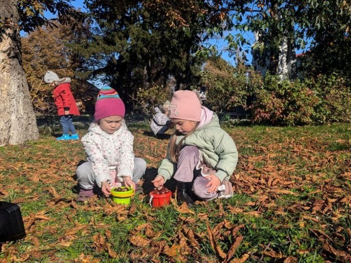 Допомога ЗСУ: луцькі дітлахи зібрали понад 10 тонн каштанів