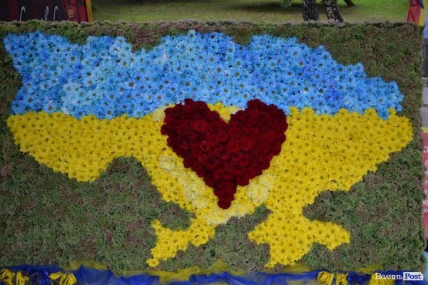 У Луцьку  - квіткова виставка до Дня Незалежності. ФОТО