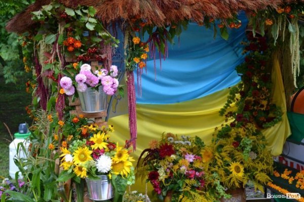 У Луцьку  - квіткова виставка до Дня Незалежності. ФОТО