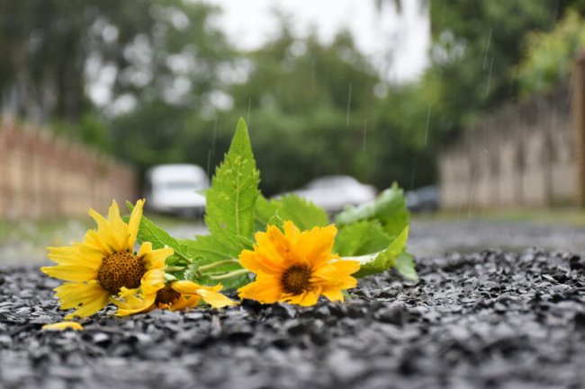 У Луцькій громаді попрощалися з Героєм Назарієм Корольчуком
