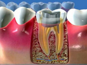 Культові вкладки: 3 види та 5 причин встановити*