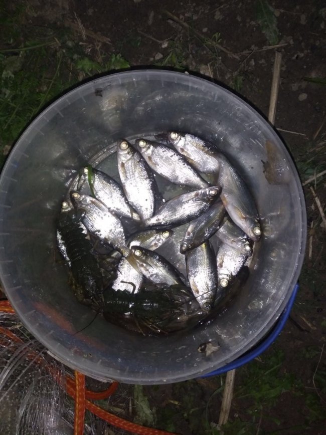 Рибпатруль спіймав «на гарячому» волинянина, який ловив раків сіткою. ФОТО