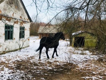 Закинуті хати та сліди скандинавського льодовика: невідома історія Шацького краю .ФОТО