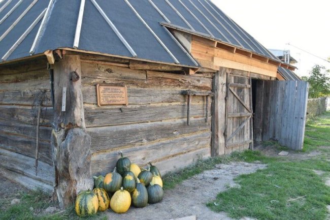 Біля Луцька - фестиваль «Дух незламних»: змагання з різних видів спорту, виступи гуртів та козацьке бойове мистецтво