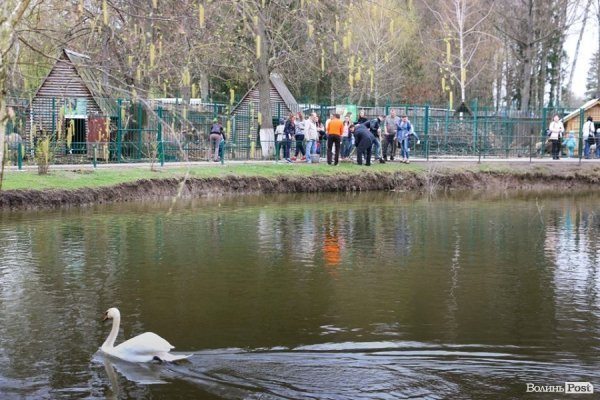 Луцький зоопарк став ще зеленішим. ФОТО
