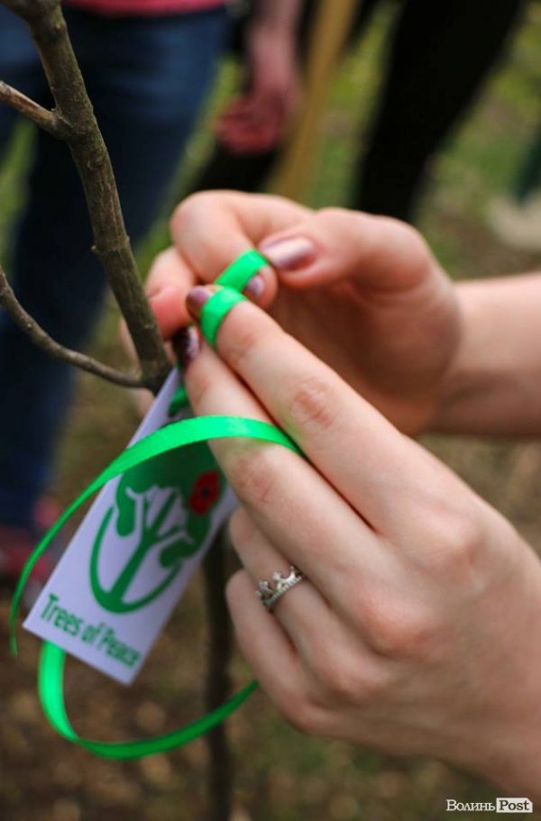 Луцький зоопарк став ще зеленішим. ФОТО