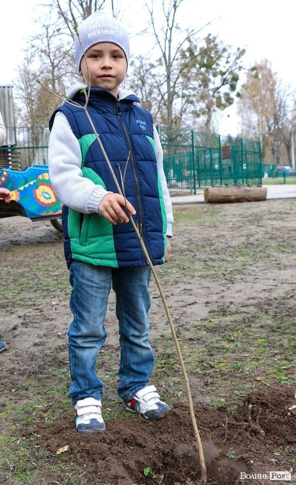 Луцький зоопарк став ще зеленішим. ФОТО