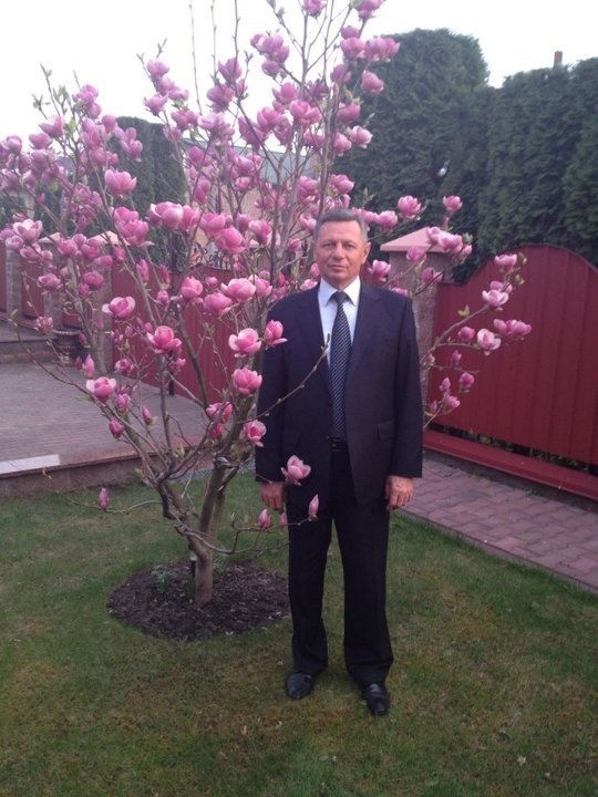 Моя любима магнолія біля будинку.