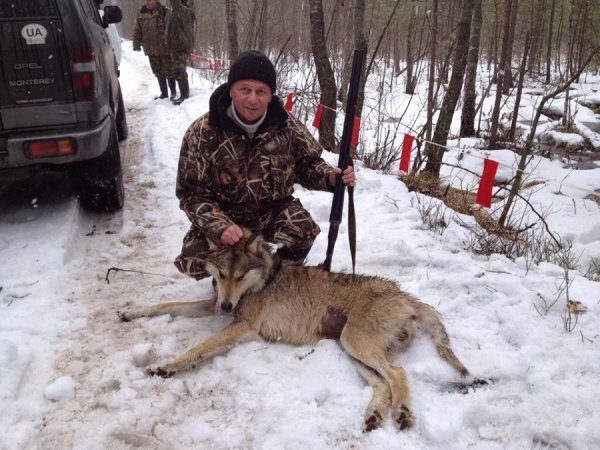 Деколи і вовк мимо не пройде.