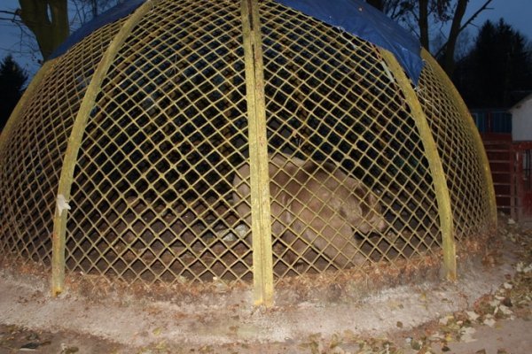 У Луцьку оновлять зоопарк за 1,5 мільйона євро. ФОТО