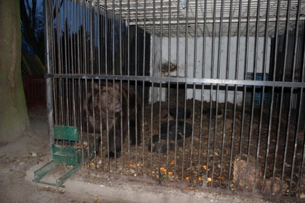 У Луцьку оновлять зоопарк за 1,5 мільйона євро. ФОТО