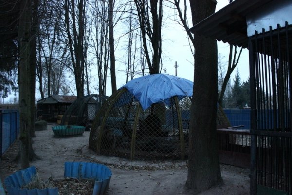 У Луцьку оновлять зоопарк за 1,5 мільйона євро. ФОТО