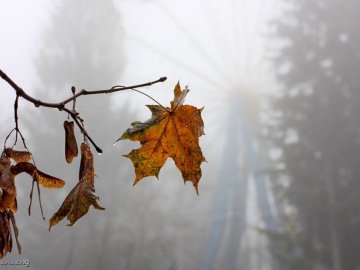 Фото загадкового туману в Луцьку