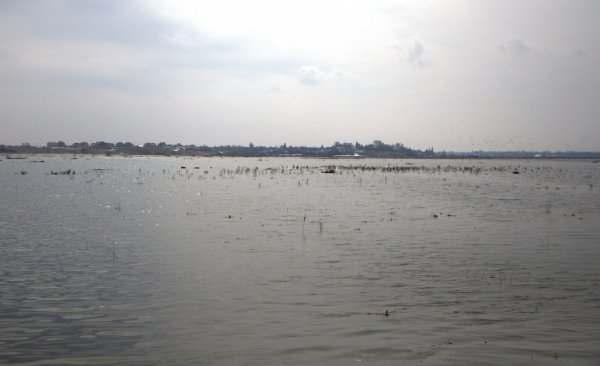 Під Луцьком підтоплює села. ФОТО