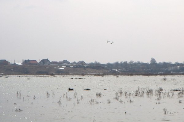 Під Луцьком підтоплює села. ФОТО