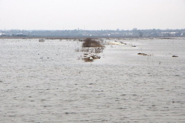 Під Луцьком підтоплює села. ФОТО