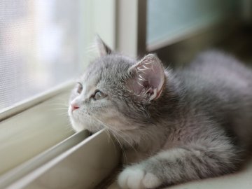 Якою буде погода на Волині у неділю, 20 грудня