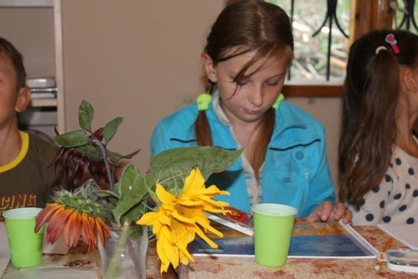 «Озерний вітер» відкрив свої двері для дітей. ФОТО