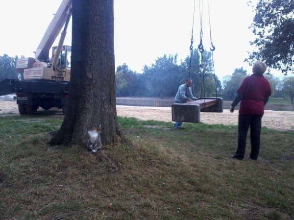 У Луцьку прибирали Теремнівські ставки. ФОТО