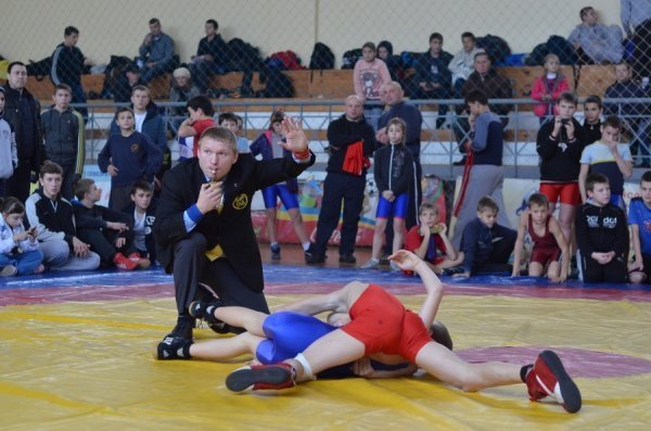 На Волині відбувся турнір з вільної боротьби. ФОТО