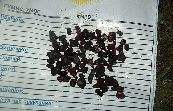 У маневицьких лісах знову копають бурштин