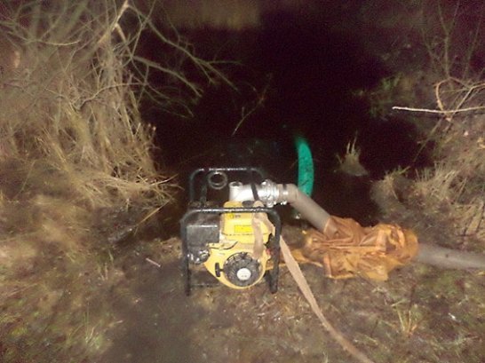 У маневицьких лісах знову копають бурштин