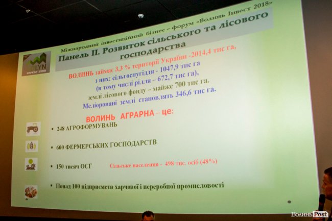 Ласують у Парижі та Берліні: малина з Волині «виходить» на європейський ринок