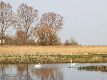 Мальовничі села в об'єктиві волинського фотографа. ФОТО