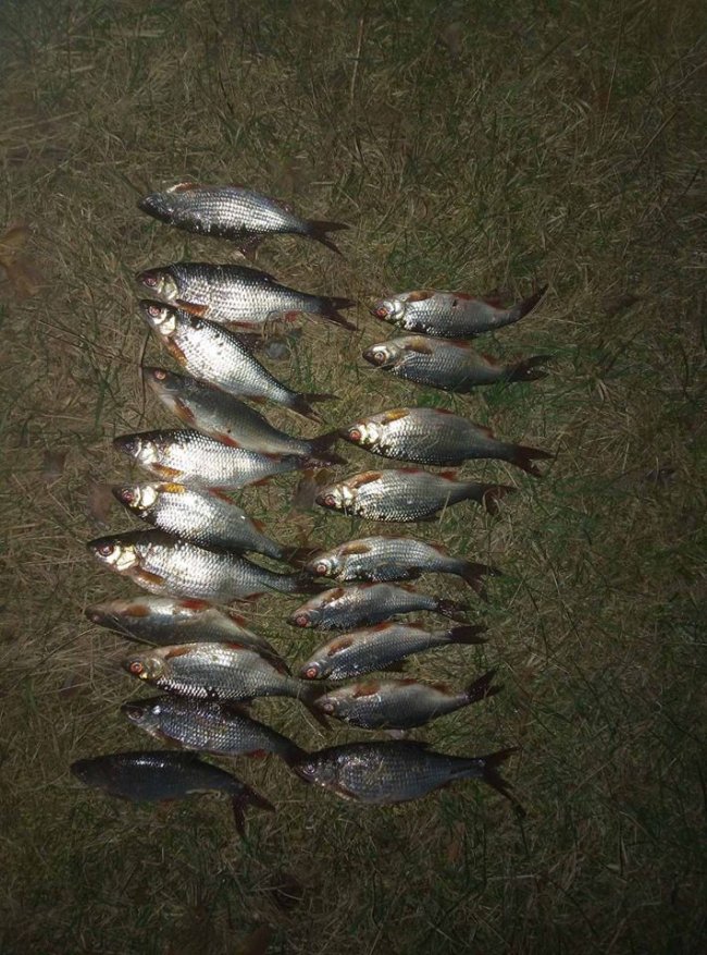 На Волині під час рейду рибохорони  затримали браконьєрів