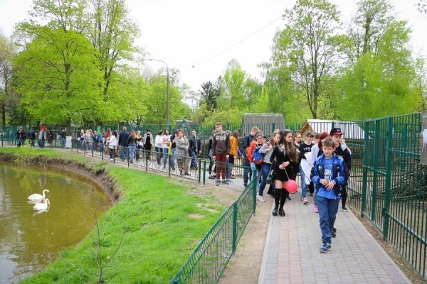 Діти з Волновахи завітали до Луцького зоопарку. ФОТО