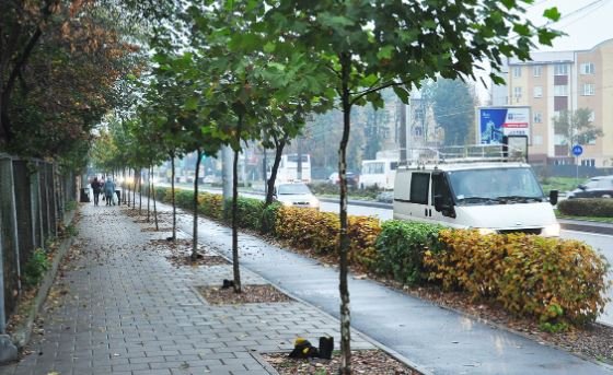 Вело-пішохідний простір на просп. Чорновола у Львові