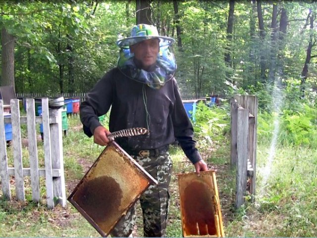 У волинському лісгоспі за рік викачали 615 кілограмів меду. ФОТО