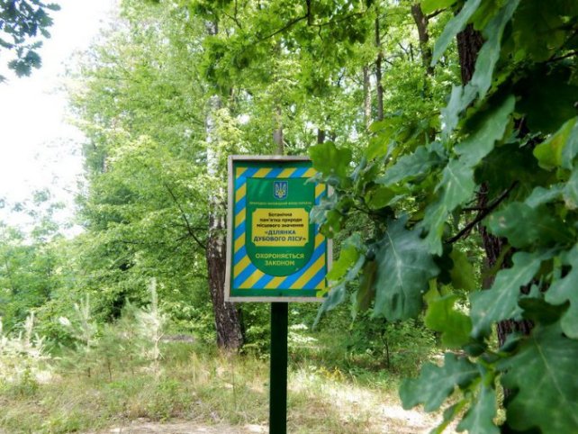 У волинському лісгоспі за рік викачали 615 кілограмів меду. ФОТО