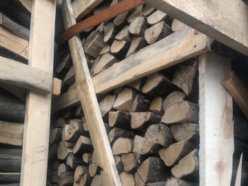 Волинські митники зупинили незаконний експорт деревини в Євросоюз