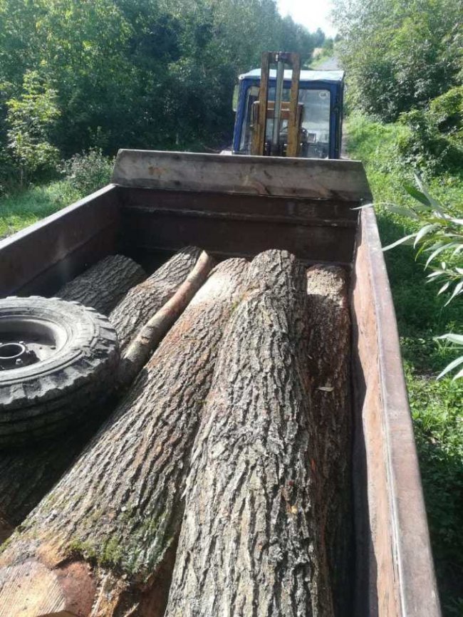 Волинські лісівники зловили двох чоловіків, які перевозили цінну деревину. ФОТО