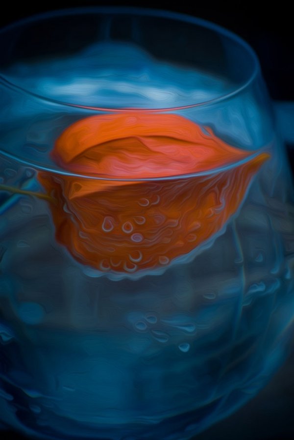 Фотовиставка Олександра Федюка. ФОТО