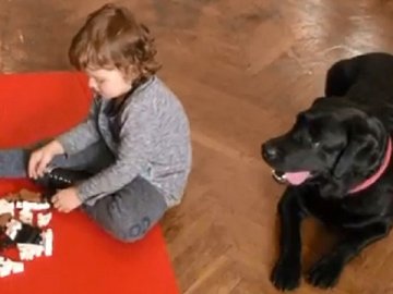 У Луцьку запроваджують заняття з каніс-терапії