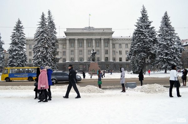 Волинський губернатор знайшов у Луцьку хвойний ліс